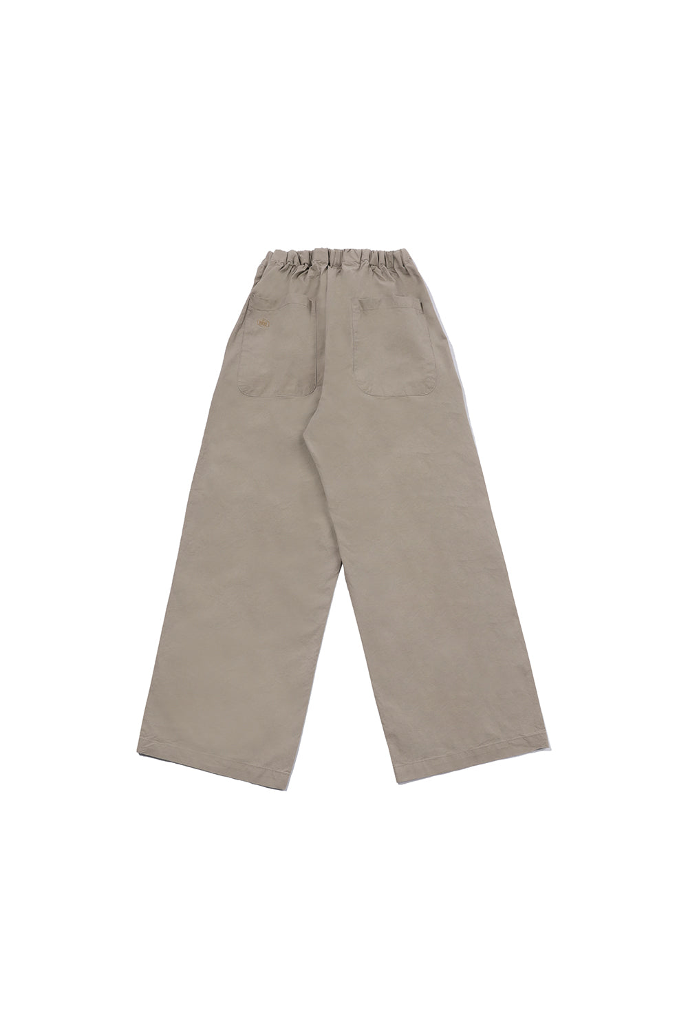 Two Tuck Wide Pants (Beige)